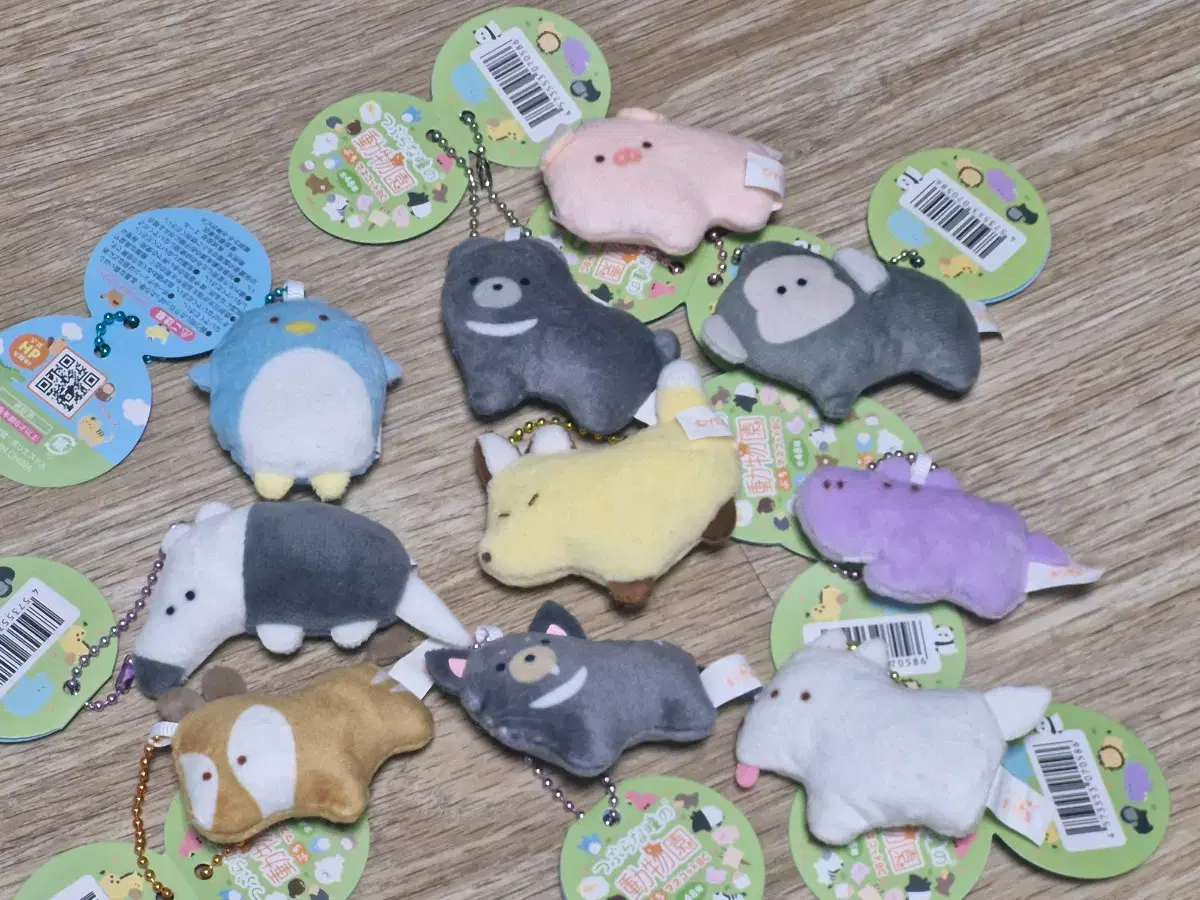 thumbnail-1